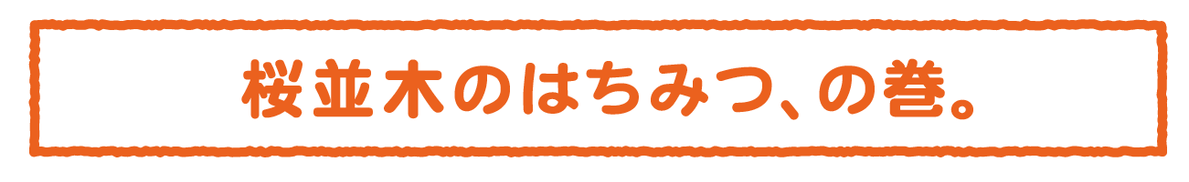 桜並木のはちみつ、の巻。