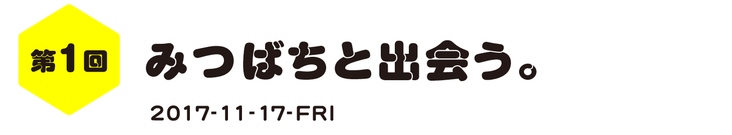 第１回　みつばちと出会う。