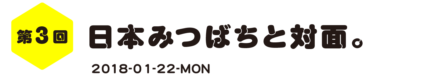 第３回　日本みつばちと対面。