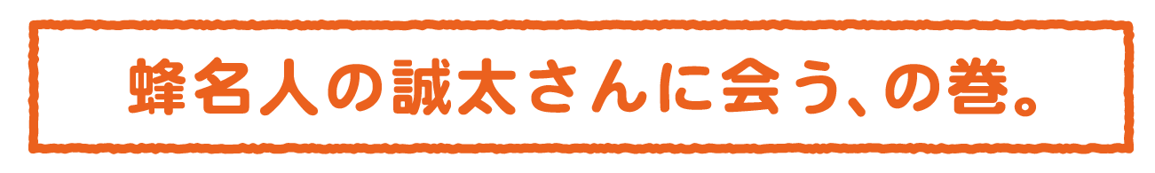 蜂名人の誠太さんに会う、の巻。