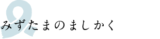 みずたまのましかく