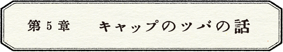 第５章　キャップのツバの話