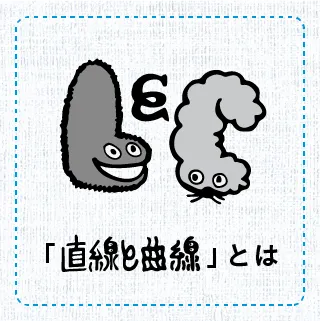 「直線と曲線」とは