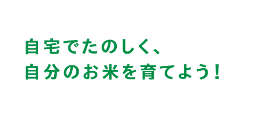 あおむし