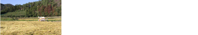 収益は寄付します。