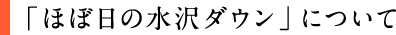 「ほぼ日の水沢ダウン」について