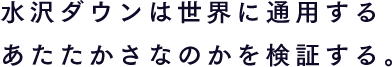 水沢ダウンは世界に通用するあたたかさなのかを検証する。