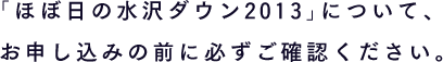 「ほぼ日の水沢ダウン2013」について、お申し込みの前に必ずご確認ください。