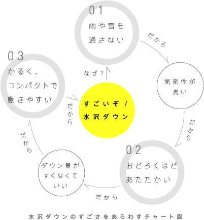 水沢ダウンのすごさをあらわすチャート図