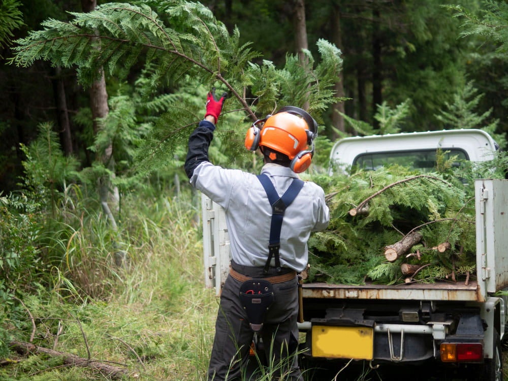 建物の玄関写真