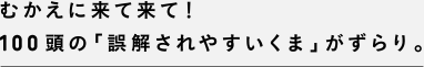 むかえに来て来て！100頭の「誤解されやすいくま」がずらり。