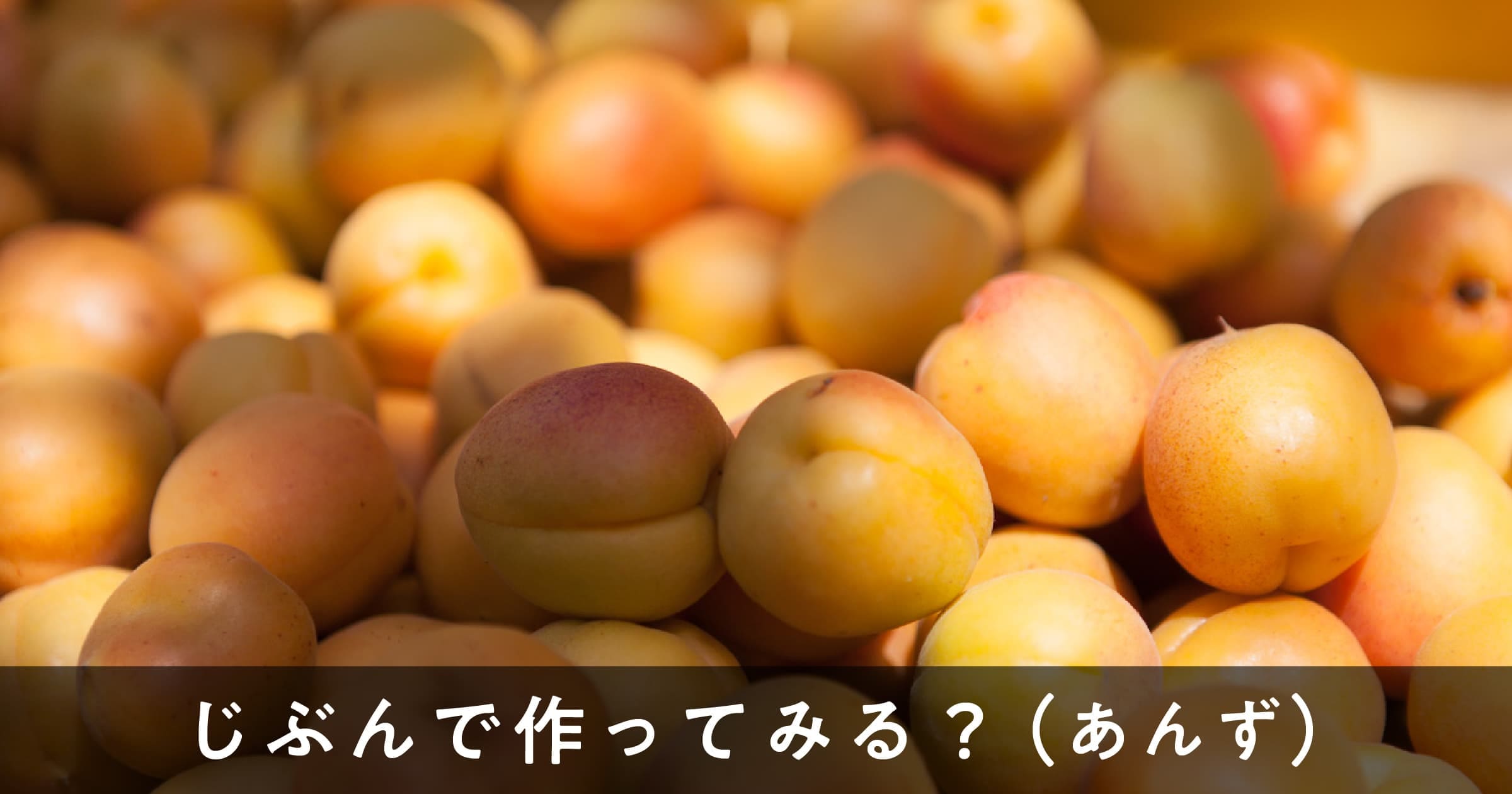 じぶんで作ってみる？（あんず）