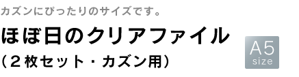 ほぼ日のクリアファイル(2枚セット・カズン用)