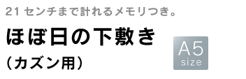 ほぼ日の下敷き(カズン用)