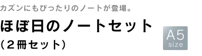 ほぼ日のノートセット(2冊セット)