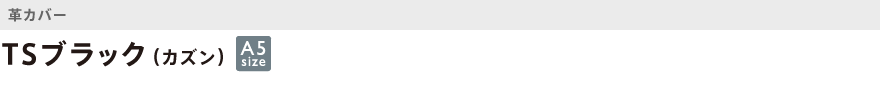 カズン・革・TSブラック(カズン)