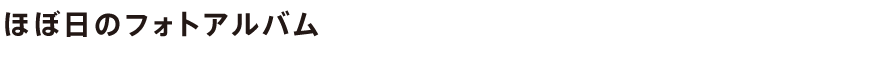 ほぼ日のフォトアルバム