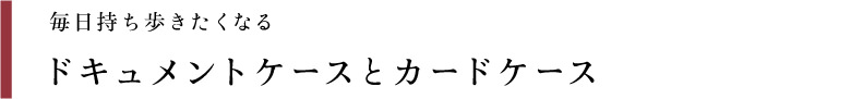 毎日持ち歩きたくなる ドキュメントケースとカードケース