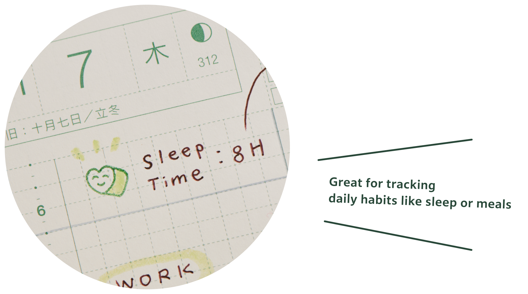 Great for tracking daily habits like sleep or meals