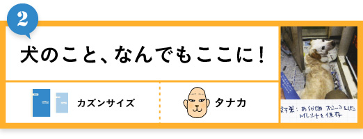 犬のこと、なんでもここに！