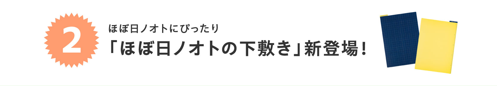 ほぼ日ノオトにぴったり「ほぼ日ノオトの下敷き」新登場！