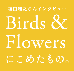 cVC^r[ Birds & Flowersɂ߂́B