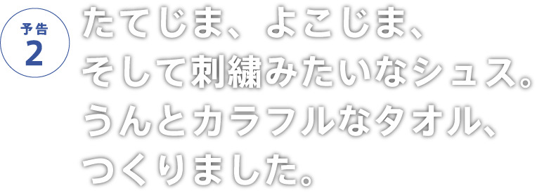 たてじま、よこじま、そして刺繍みたいなシュス。うんとカラフルなタオル、つくりました。
