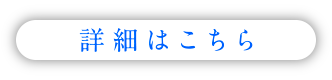 詳細をみる