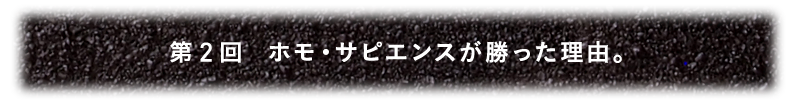 第2回 ホモ・サピエンスが勝った理由。