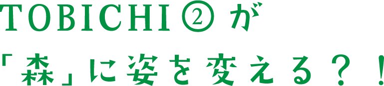 TOBICHI②が「森」に姿を変える？！