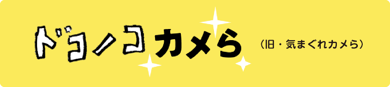 「ドコノコカメら」（旧・気まぐれカメら）