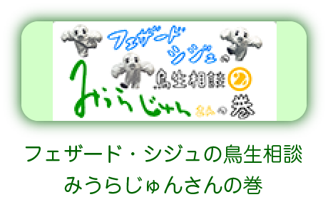 フェザード・シジュの鳥生相談 みうらじゅんさんの巻