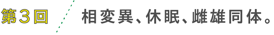 第３回　相変異、休眠、雌雄同体。