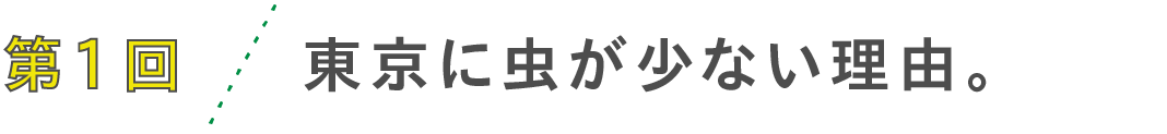 第1回　東京に虫が少ない理由。