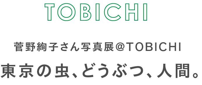 菅野順子さん写真展@TOBICHI 東京の虫、どうぶつ、人間。