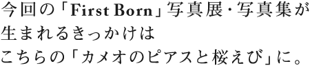 今回の「First Born」写真展・写真集が 生まれるきっかけは こちらの「カメオのピアスと桜えび」に。