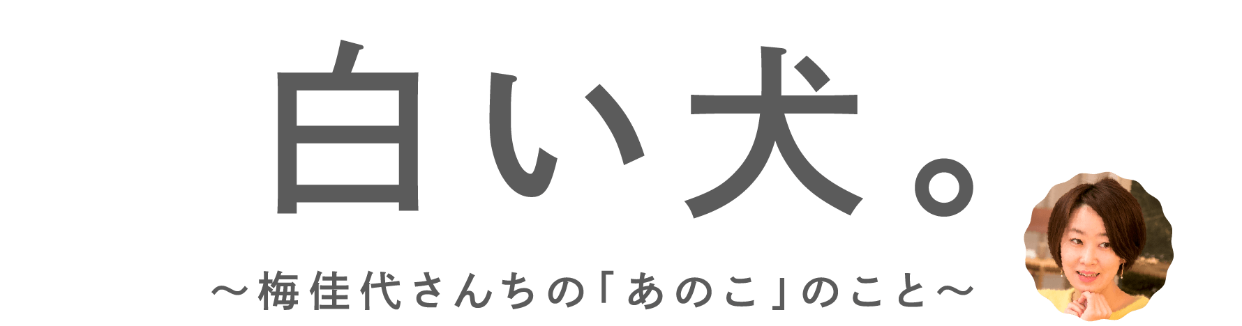 白い犬。梅佳代さんちの「あのこ」のこと。