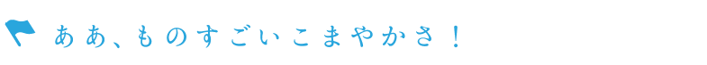 ああ、ものすごいこまやかさ！